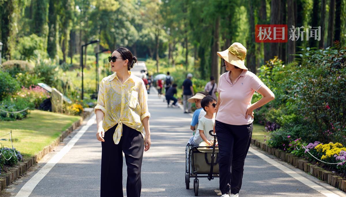 ag手机版下载